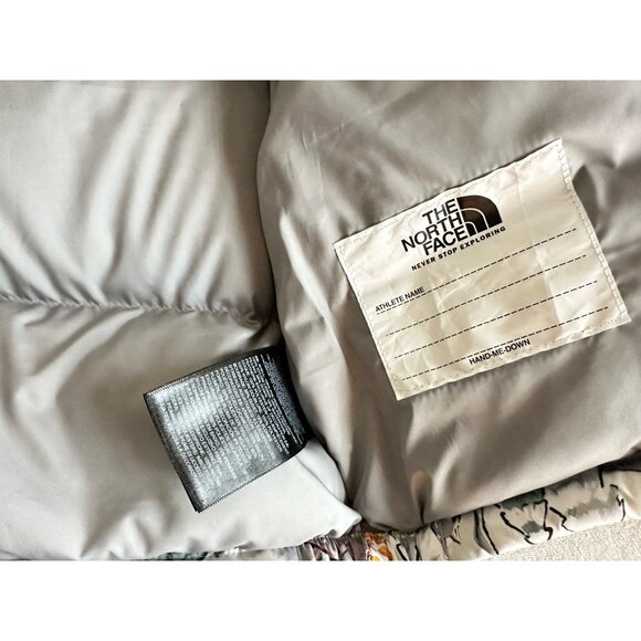 NWT North Face Nuptse 700 Down Series Puffer Jacket Toddler 2T Wolf Gray Winter - Picture 7 of 11